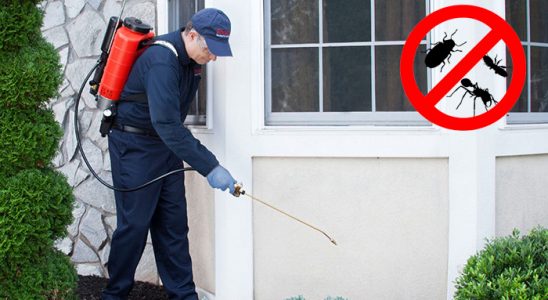 Görele Dezenfeksiyon böcek ilaçlama ve haşere kontrolü — ilaclama-tr.com